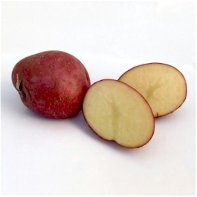 POTATOES RED SZ A