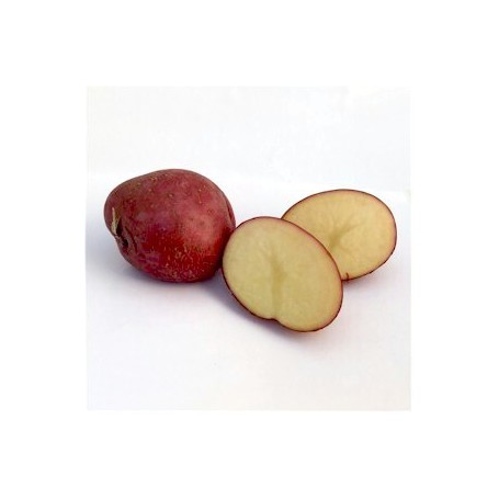 POTATOES RED SZ A