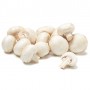 MUSHROOMS 8 OZ