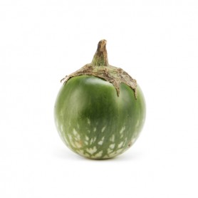 EGGPLANT (AUBERGINE)-THAI