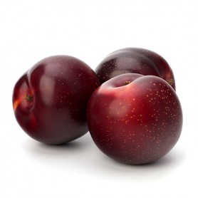 PLUMS RED