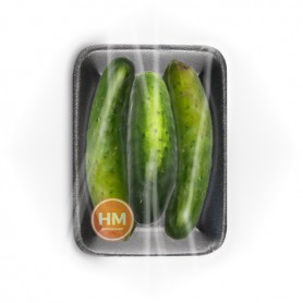 GREEN/RIDGE/SHORT CUCUMBER