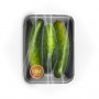 GREEN/RIDGE/SHORT CUCUMBER