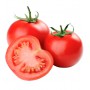 TOMATOES REGULAR