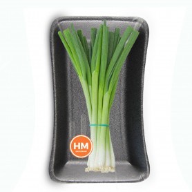 ONIONS GREEN (SCALLIONS)/SPRING