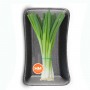 ONIONS GREEN (SCALLIONS)/SPRING