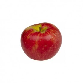 APPLES GALA