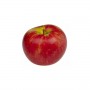 APPLES GALA