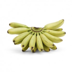 BANANAS, NINO