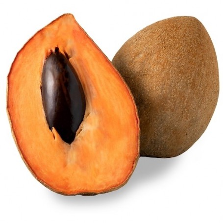 MAMEY