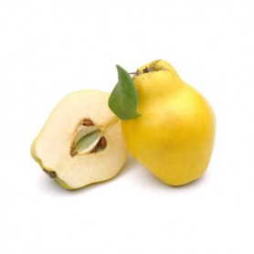 QUINCE