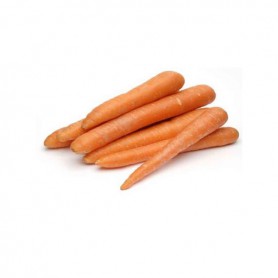 LOOSE CARROTS