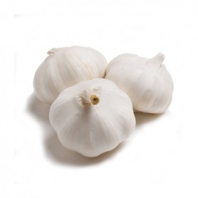 GARLIC REGULAR