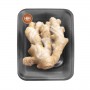 GINGER ROOT REGULAR
