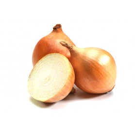 ONIONS YELLOW/BROWN