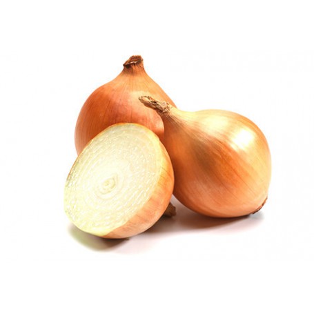ONIONS YELLOW/BROWN