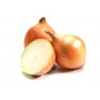 ONIONS YELLOW/BROWN