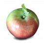 MACOUN APPLES