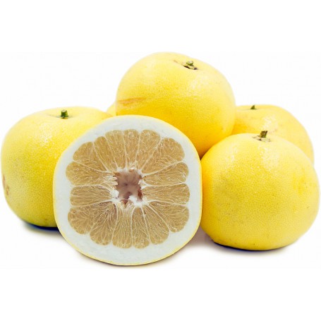 GRAPEFRUIT MELOGOLD