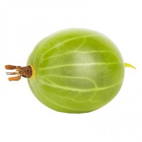 GOOSEBERRIES BERRIES