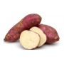 SWEET POTATO BONIATO