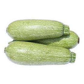 SQUASH-VEGETABLE MARROW