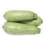 SQUASH-VEGETABLE MARROW