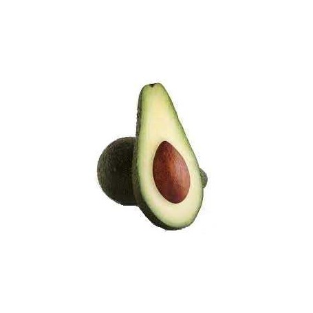 AVOCADOS-PINKERTON