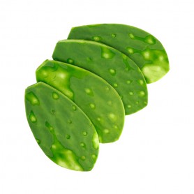 CACTUS LEAVES (NOPALES/CACTUS PADS)