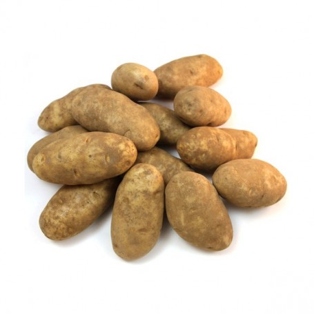 POTATO RUSSET 5#